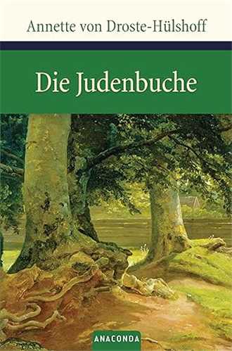 Die Judenbuche رمان آلمانی راش یهودی - دی یودنبوش